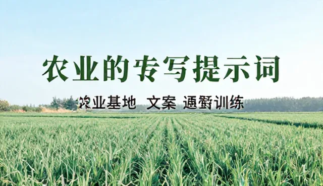 美女提示词大全汇总文档下载使用误区