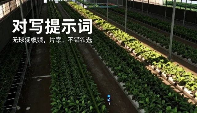 提示词与例句的用法：两种做法的对比与实际取舍