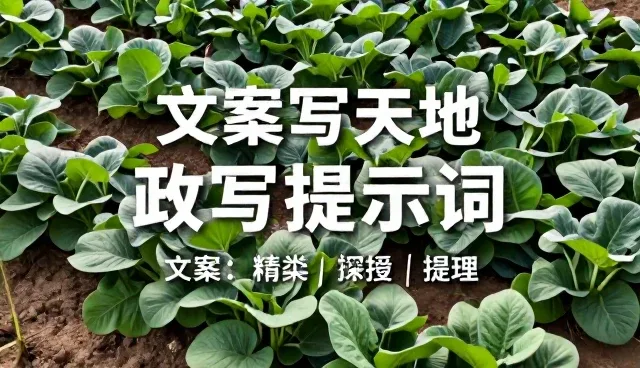 AI提示词英文使用中的常见误区与解决方法