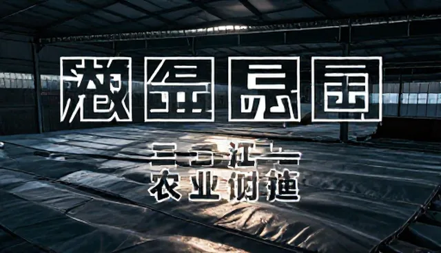 ai绘画反向提示词的四个步骤：两种做法的取舍