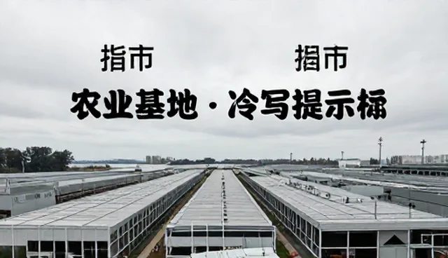 ai prompt business ideas的分类管理与应用
