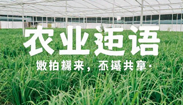 ai提示词可以是一大段话吗为什么