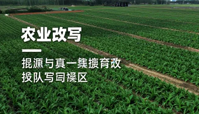 微博文案提示词使用误区及优化策略