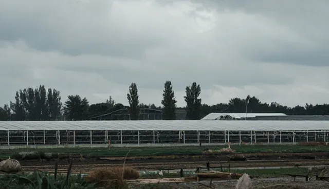 读书计划提示词:如何用高效提示词提升阅读效率
