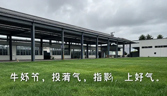 提示词交易怎么交付？开发者如何选择合适方式？