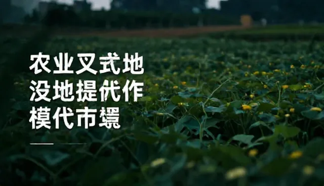 创业指导提示词如何帮助新创业者?