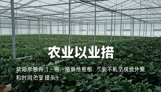 ai提示词交易怎么接单?如何选择合适平台?