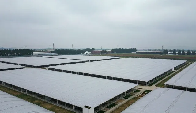 可复用的结：开发者资源支持的未来趋势