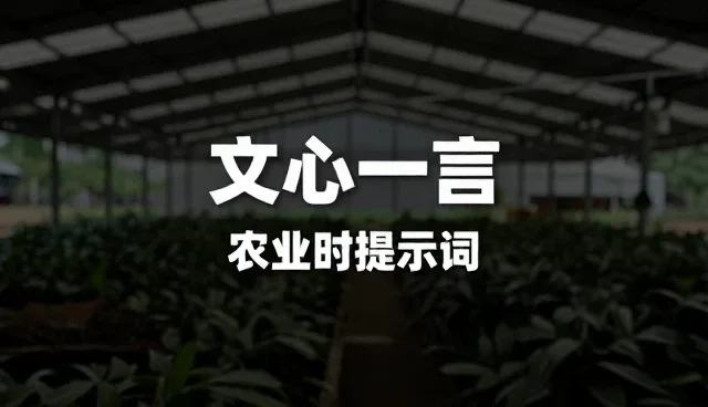 AI提示词教程 国内:开发者选型与使用建议