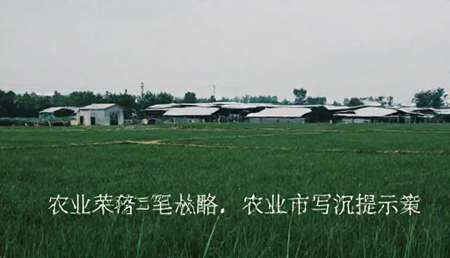 ai提示词交易违法吗?开发者如何合规使用