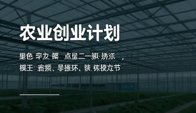 程序员提示词在实际应用中的适用情况与限制