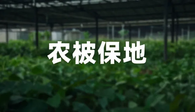 记账提示词如何影响交易效率
