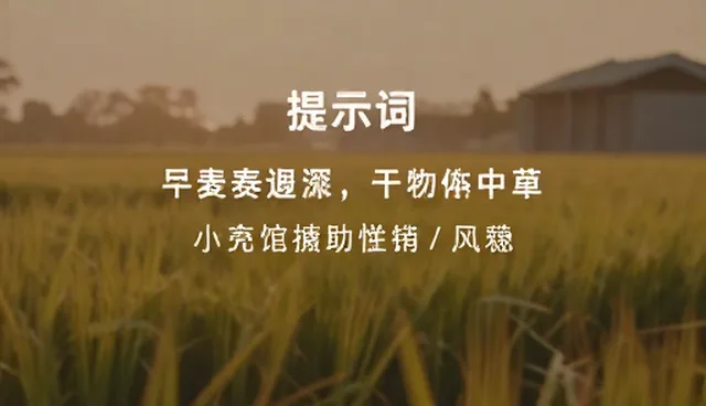 minimaxH3图生视频提示词使用中的职业选择问题