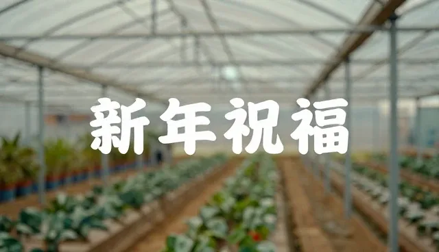 产品需求文档:角色扮演提示词的具体分析重点