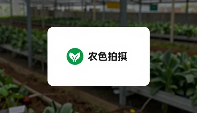 ai提示词交易行业观察：买卖双方的取舍对比