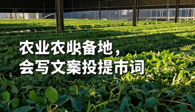 ai写歌提示词大全:技术支持人员选型与使用建议